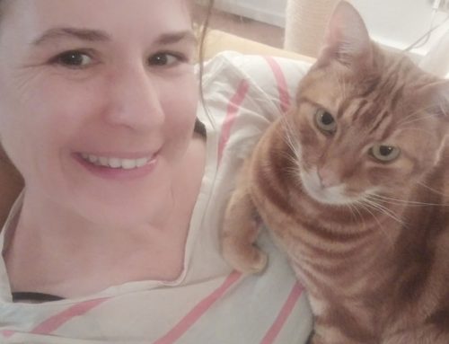 Katzen! Die machen mich einfach immer glücklich